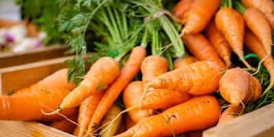 vitamina A